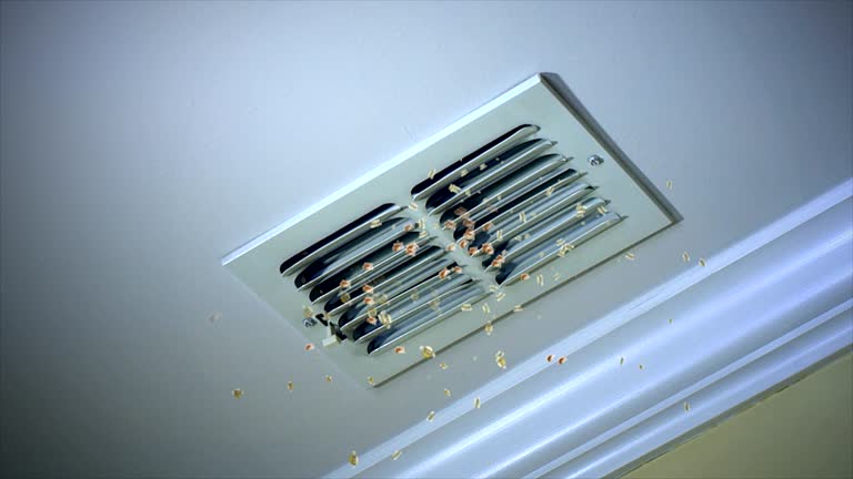 Best Best Air Duct Cleaning Company  in Arkwright, SC