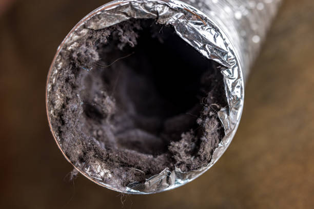 Best HVAC Duct Inspection Services  in Arkwright, SC